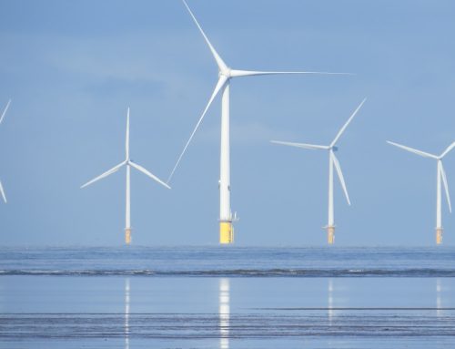 Debata online BWO o reformie unijnego handlu emisjami i stalowym łańcuchu dostaw morskiej energetyki wiatrowej