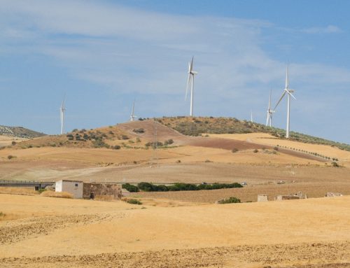 Udział OZE w energii elektrycznej UE zbliżył się w lipcu 2026 do 50 proc.