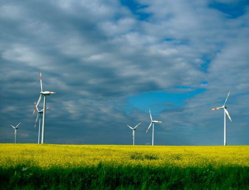 Eurowind Energy kupuje dwie pozwolone farmy wiatrowe w Niemczech o łącznej mocy 86,7 MW