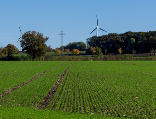 Aukcje lądowej energetyki wiatrowej w Niemczech w 2026 roku: wolumeny, ceny i zwycięzcy