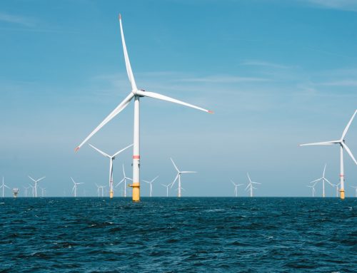 Niemiecka reforma WindSeeG: BWO popiera kontrakty CfD, ale chce lepszego modelu aukcji