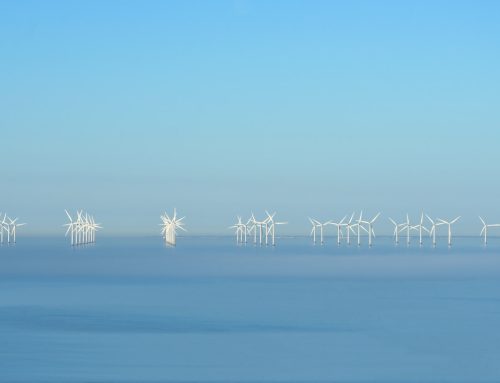 Local content w polskim offshore: od deklaracji do zamówienia