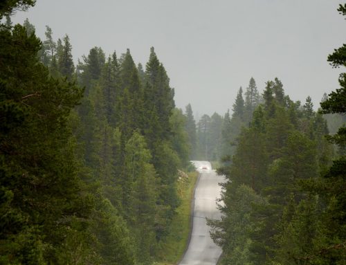 WindEurope wspiera wrześniowe rajdy Cycling4Climate w Belgii i Polsce