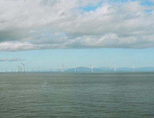 Offshore w Estonii i na Łotwie wciąż na desce kreślarskiej: co zrobiły ELWIND i Liivi i co dalej
