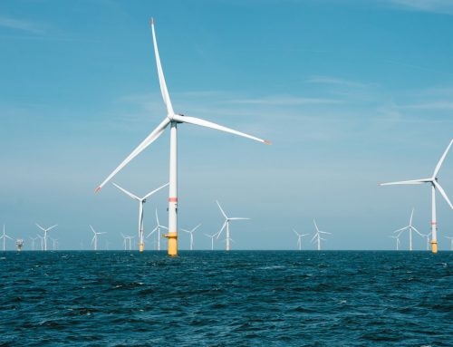 RelyOn Poland uruchamia w Gdańsku pierwsze na Pomorzu szkolenia offshore z akredytacją OPITO
