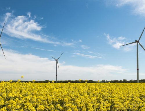 WindEurope dołącza do Europejskiej Koalicji na rzecz Alfabetyzacji, by przeciwdziałać dezinformacji w branży wiatrowej
