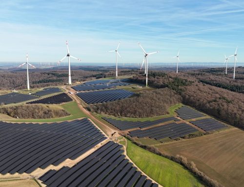 wiwi consult z 80 MW w niemieckiej aukcji PV stawia na projekty hybrydowe wiatr-słońce-magazyn