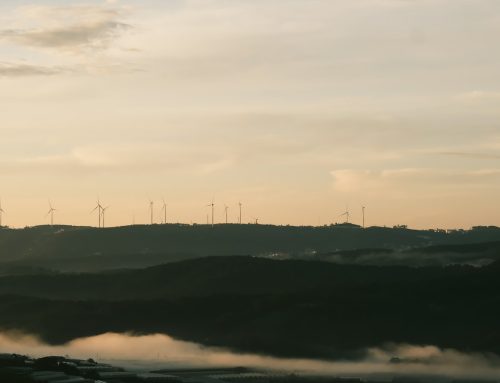 Działające projekty to prawie 40% ofert PPA w Europie – wynika z indeksu LevelTen